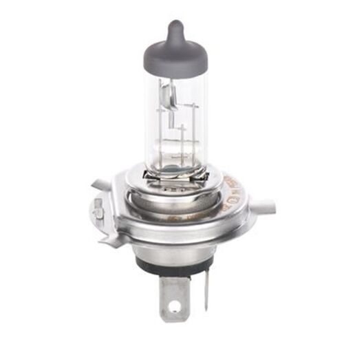 BOSCH Original Glühlampe Leuchtmittel Autoglühlampe Plus 60 H4 12V 60/55W